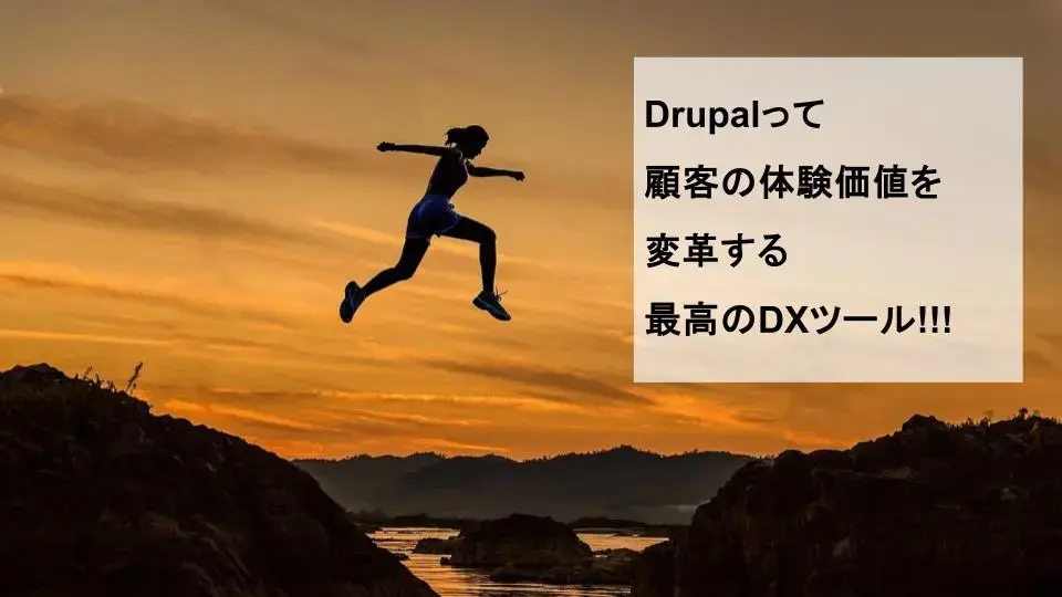 Drupalって顧客の体験価値を変革する最高のDXツール